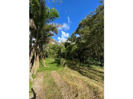  Terreno (Parcela) en venta en Pereira, Risaralda, Pereira