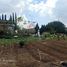  Terreno (Parcela) en venta en Sumurbandung, West Jawa, Sumurbandung, Bandung, West Jawa