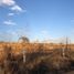  Land for sale in Numaran, Michoacan, Numaran
