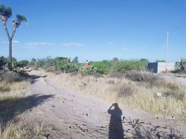  Grundstück zu verkaufen in Mexquitic De Carmona, San Luis Potosi, Mexquitic De Carmona