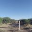  Grundstück zu verkaufen in Mexquitic De Carmona, San Luis Potosi, Mexquitic De Carmona