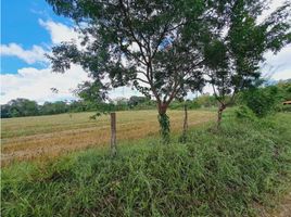  Terreno (Parcela) en venta en Chiriquí, La Estrella, Bugaba, Chiriquí