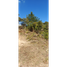  Land for sale in Yolombo, Antioquia, Yolombo