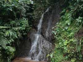  Casa en venta en Santa Rosa De Cabal, Risaralda, Santa Rosa De Cabal