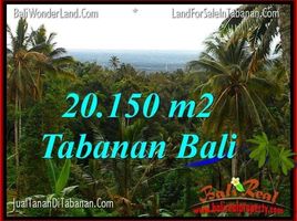  Land for sale in Penebel, Tabanan, Penebel