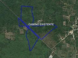  Terreno (Parcela) en venta en Motul, Yucatán, Motul