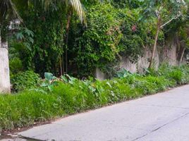  Terreno (Parcela) en venta en Cebu City, Central Visayas, Cebu City, Cebu, Central Visayas, Filipinas