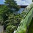 在Chiapas出售的 土地, Tuxtla Gutierrez, Chiapas