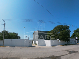 Estudio Casa en alquiler en Carmen, Campeche, Carmen, Campeche