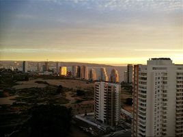 1 Habitación Apartamento en venta en Chile, Viña del Mar, Valparaíso, Valparaíso, Chile