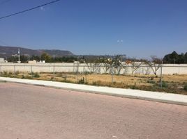  Land for sale in Ixtacuixtla De Mariano Matamoros, Tlaxcala, Ixtacuixtla De Mariano Matamoros