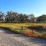  Land for sale in Torreon, Coahuila, Torreon