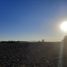  Land for sale in Torreon, Coahuila, Torreon