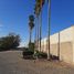  Land for sale in Torreon, Coahuila, Torreon