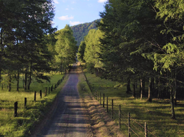  Terreno (Parcela) en venta en Araucanía, Pucón, Cautín, Araucanía