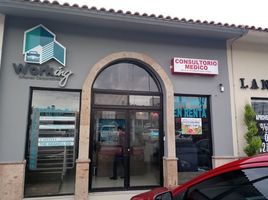 11 m² Office for rent in Chihuahua, Chihuahua, Chihuahua