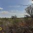  Land for sale in Junin, San Luis, Junin