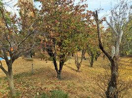  Terreno (Parcela) en venta en Chile, San Jode de Maipo, Cordillera, Santiago, Chile