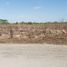  Land for sale in Sucila, Yucatan, Sucila