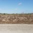  Land for sale in Sucila, Yucatan, Sucila