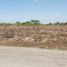  Land for sale in Sucila, Yucatan, Sucila