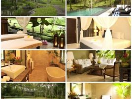 1 chambre Maison for sale in Jembrana, Bali, Negara, Jembrana