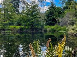  Land for sale in Llanquihue, Los Lagos, Frutillar, Llanquihue