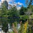  Land for sale in Frutillar, Los Lagos, Frutillar