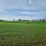  Land for sale in Llanquihue, Los Lagos, Frutillar, Llanquihue