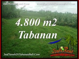  Tanah for sale in Selemadeg, Tabanan, Selemadeg