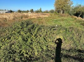  Land for sale in Nuble, San Carlos, Punilla, Nuble