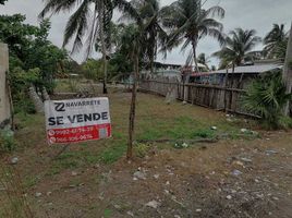  Land for sale in Bocas Del Toro, Guabito, Changuinola, Bocas Del Toro