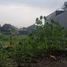  Terreno (Parcela) en venta en Margacinta, West Jawa, Margacinta