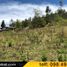  Land for sale in Canar, Cojitambo, Azogues, Canar