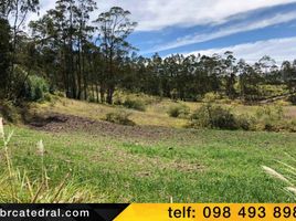  Land for sale in Canar, Cojitambo, Azogues, Canar