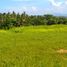  Land for sale in Selemadeg, Tabanan, Selemadeg