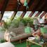 3 Schlafzimmer Villa zu verkaufen in Valle De Bravo, Mexico, Valle De Bravo