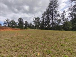  Land for sale in Retiro, Antioquia, Retiro