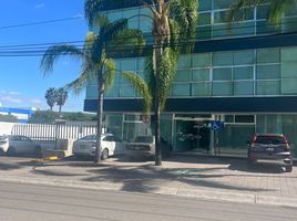 20 m² Office for rent in Querétaro, Queretaro, Querétaro