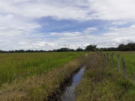  Terreno (Parcela) en venta en Casanare, Yopal, Casanare