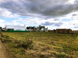  Land for sale in La Plata, Buenos Aires, La Plata