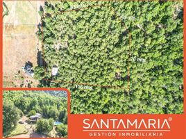  Terreno (Parcela) en venta en Ñuble, Pinto, Diguillín, Ñuble