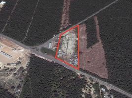  Terreno (Parcela) en alquiler en Cancún, Quintana Roo, Cancún, Quintana Roo