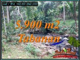  Tanah for sale in Selemadeg, Tabanan, Selemadeg