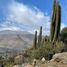 Land for sale in Chile, Santiago, Santiago, Santiago, Chile