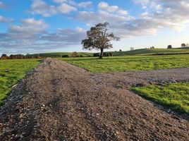  Land for sale in Chile, Llanquihue, Llanquihue, Los Lagos, Chile
