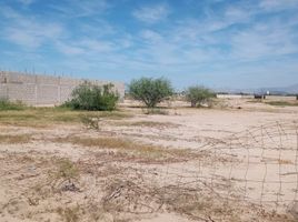  Grundstück zu verkaufen in La Paz, Baja California Sur, La Paz