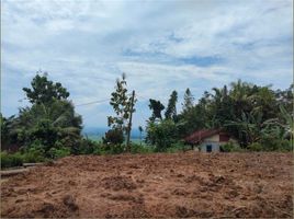  Tanah for sale in Pengasih, Kulon Progo, Pengasih