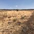  Land for sale in Tequila, Jalisco, Tequila