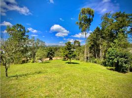  Land for sale in Envigado, Antioquia, Envigado